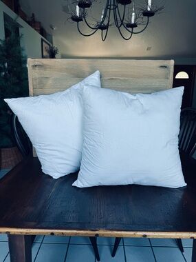 Pottery Barn Accent Pillow Insert Pair